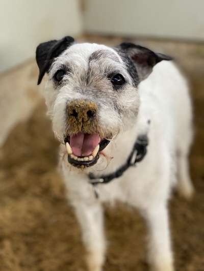 Lieblings Fotos-Beitrag-Bild