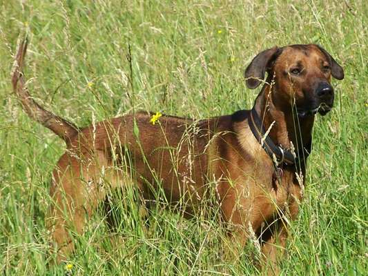 Fotochallenge 78

Es grünt und blüht-Beitrag-Bild