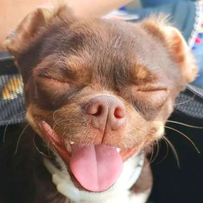 Fotochallange Nr. 57     PORTRÄT.   Beendet!!!!!!!!-Beitrag-Bild