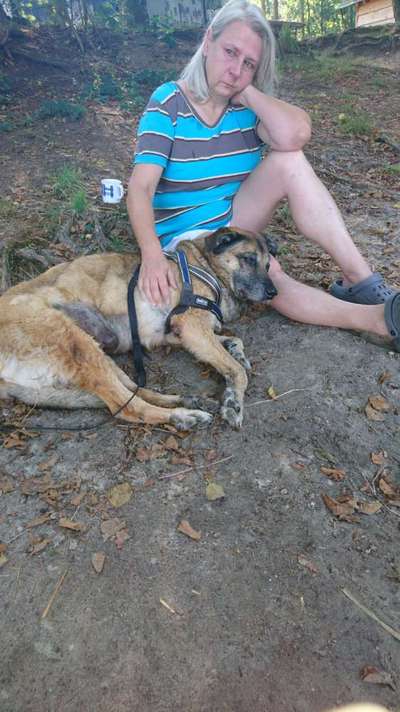 richtiger Zeitpunkt zum gehen lassen-Beitrag-Bild