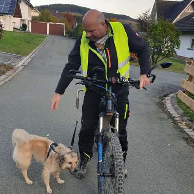 Hundetreffen-Fahrradrunde mit dem Hund