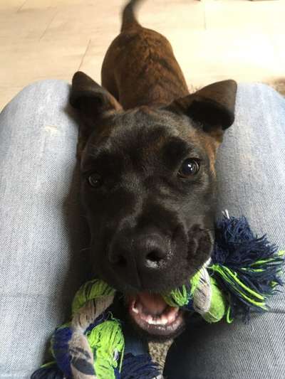 Handy-Foto Challange Nr. 10-Beitrag-Bild