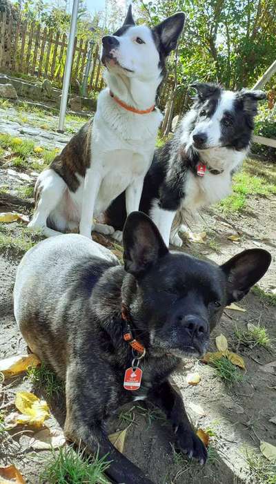 Handyfoto challenge Nr. 13: Waschlappen raus!-Beitrag-Bild