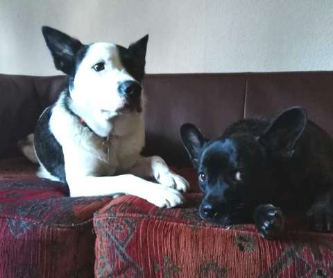 Fotochallenge Nr.100 Urlaubsimpressionen-Beitrag-Bild