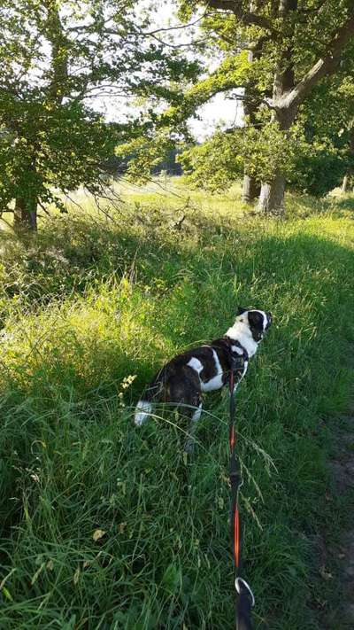 Fotochallenge 101:
On Tour-Beitrag-Bild