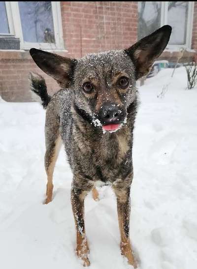 Tongue Out Tuesday-Beitrag-Bild