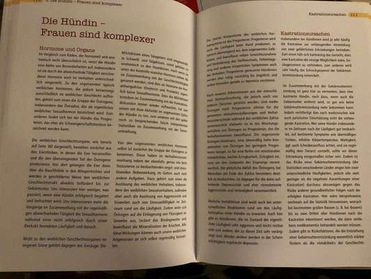 Sterilisieren-Beitrag-Bild