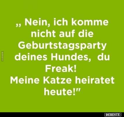 Hunde Memes-Beitrag-Bild