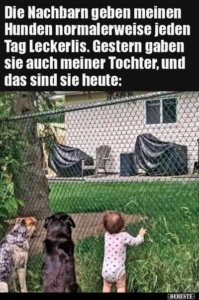 Hunde Memes-Beitrag-Bild