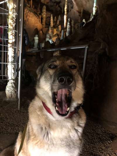 Her mit dem Grimassen-Beitrag-Bild