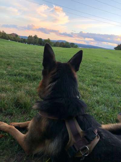 Fotochallenge Nr. 62 Romantische Momente-Beitrag-Bild