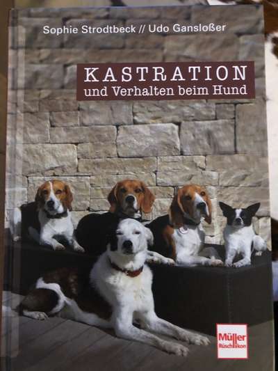 Sterilisieren-Beitrag-Bild