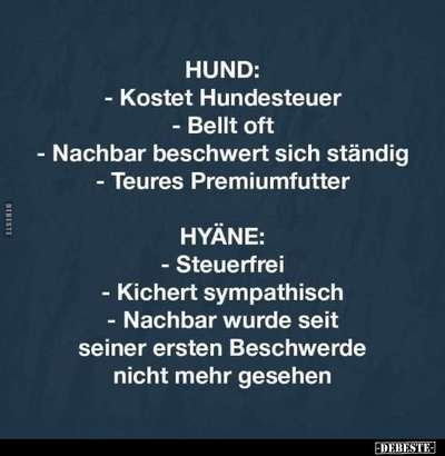 Hunde Memes-Beitrag-Bild