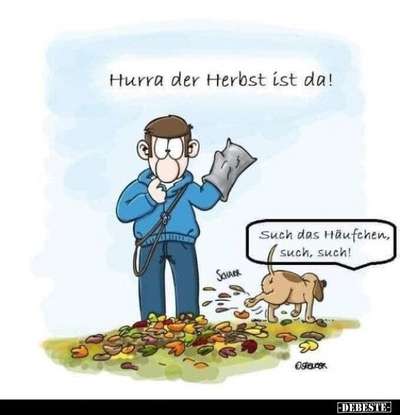 Hunde Memes-Beitrag-Bild