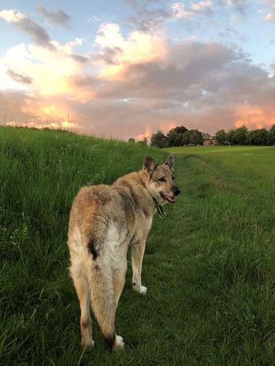 Fotochallenge Nr. 62 Romantische Momente-Beitrag-Bild