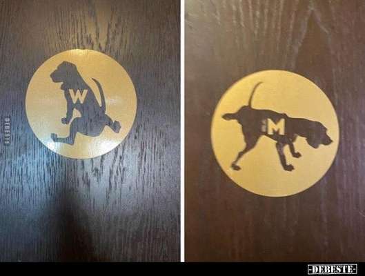 Hier ist der Spaßthread. Zum Schmunzeln und Kaputtlachen-Beitrag-Bild