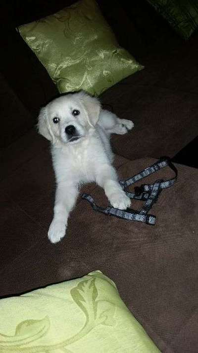 Das erste Foto-Beitrag-Bild