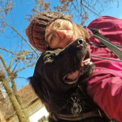 Hundetreffen-"Hundephilosophen-Stammtisch"-Profilbild