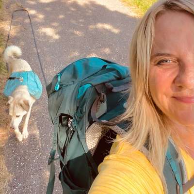 Hundetreffen-Schöne Runde im Wald von Achern zum Bienen Buckel