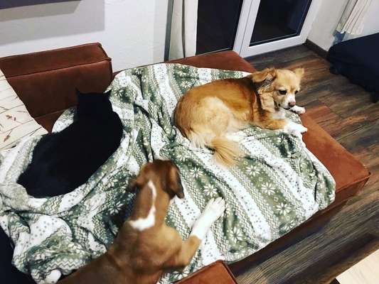 Handy-Foto-Challange Nr. 8-Beitrag-Bild