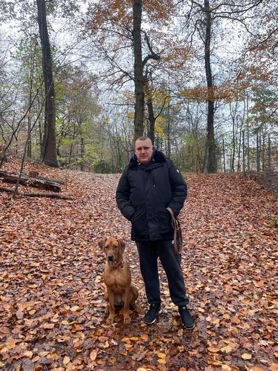 Rhodesian Ridgeback-Beitrag-Bild