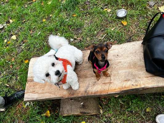 Herbst Bilder-Beitrag-Bild