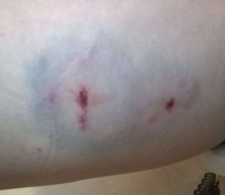 Schutzhund-was ist das?-Beitrag-Bild