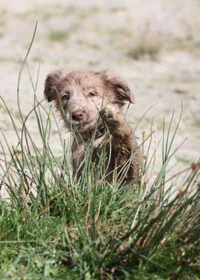 Erstes Bild-Beitrag-Bild