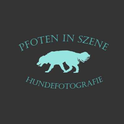 Tierfotografen-Pfoten in Szene - Hundefotografie Christine Falken-Bild