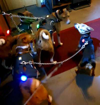 Un...scharf Bilder-Beitrag-Bild