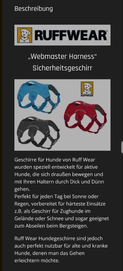 Das passende Brustgeschirr-Beitrag-Bild