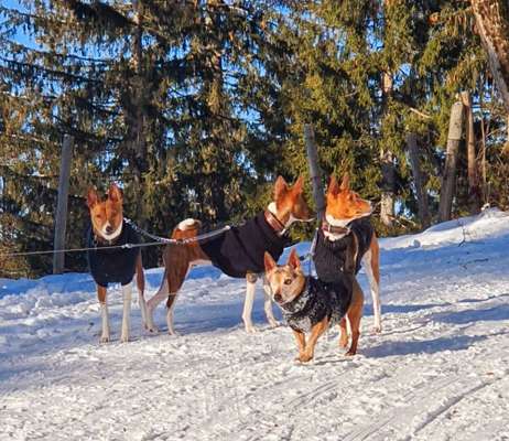 Pullis, Jacken, Hütte und alles sonstiges-Beitrag-Bild