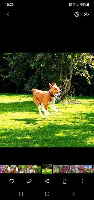 Un...scharf Bilder-Beitrag-Bild