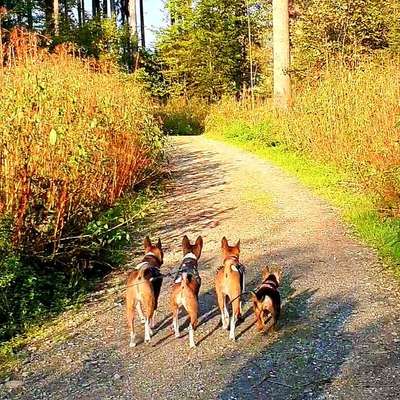 Herbst🍁-Beitrag-Bild