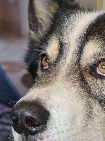 147. Foto Challenge: Bettelblick-Beitrag-Bild