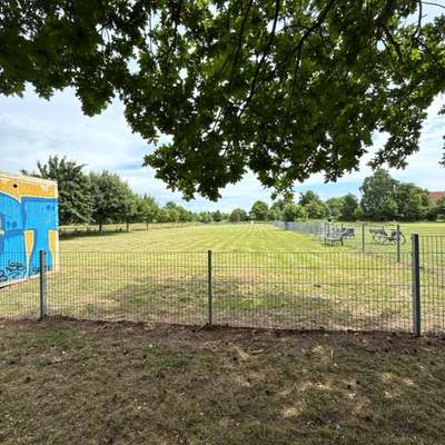 Hundetreffen-Spieltreffen am Hundeplatz in Pruchten-Bild
