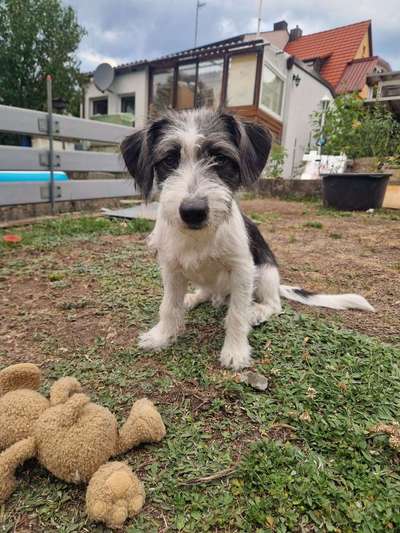 Doppelgänger gesucht !-Beitrag-Bild