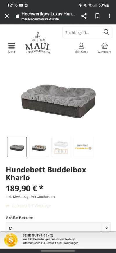 Buddelbett-Beitrag-Bild