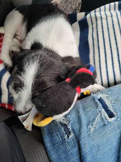 4. Lustiger Schlafplatz-Beitrag-Bild