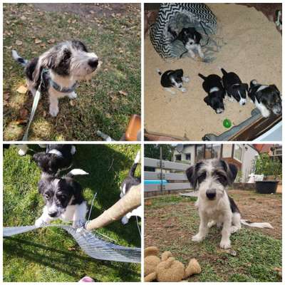 Doppelgänger gesucht !-Beitrag-Bild