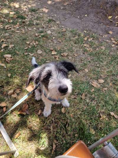 Handy-Foto Challange Nr. 10-Beitrag-Bild