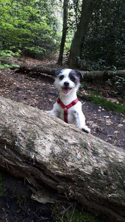 Immer lächeln !-Beitrag-Bild