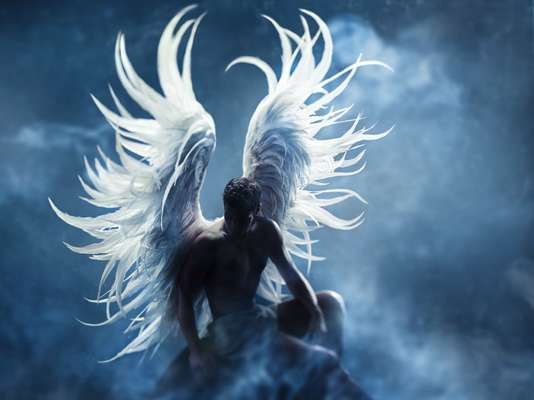 Wie heißt dein Hund?-Beitrag-Bild