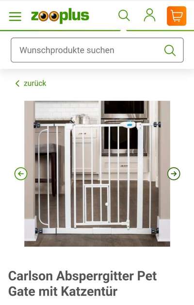 Welpe frisst die Hintermachenschaften von den Katzen-Beitrag-Bild