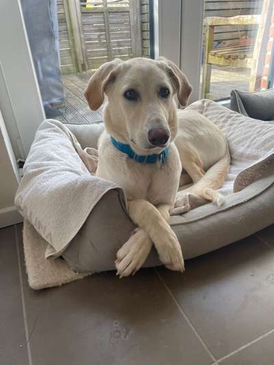 Foto Challange Nr.80-Beitrag-Bild