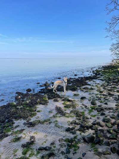 Fotowettbewerb Natur-Beitrag-Bild