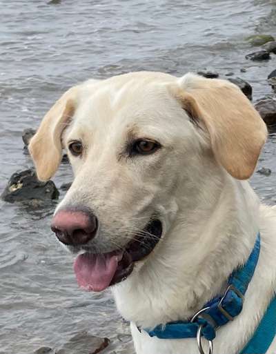 Zeigt eure Portraits-Beitrag-Bild