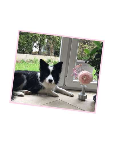 Fotochallenge Nr. 126-Beitrag-Bild