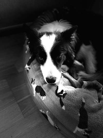 Foto Challenge Nr. 134-Beitrag-Bild