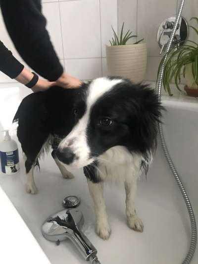 Fotochallenge 128-Beitrag-Bild